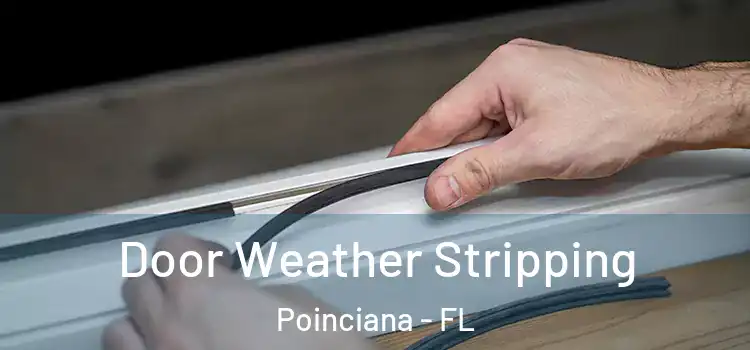  Door Weather Stripping Poinciana - FL