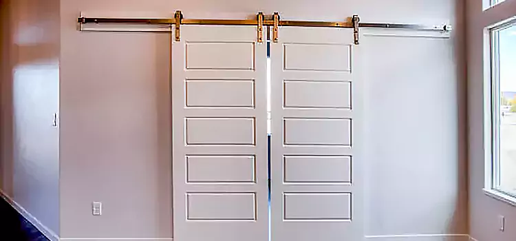 Glass Barn Door with Installation Hardware Kit Poinciana