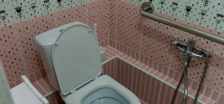 Meeting Diverse Needs With Accessible Restroom Solutions in Poinciana, FL