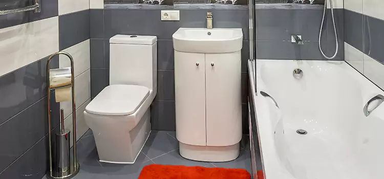 Hansgrohe Shaving Mirror Poinciana