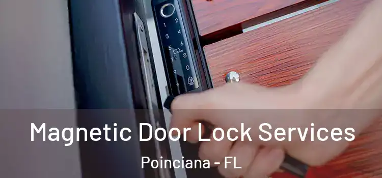 Magnetic Door Lock Services Poinciana - FL